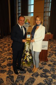 Işığa Uzanan Eller görseli