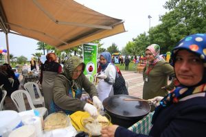 ELVİN Derneği Hıdırellez ve Çocuk Şenliği görseli